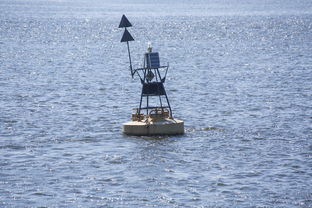 开云体育在线登入-中方蝶泳入水角度更锐利？图解数据分析，中国蝶泳厉害吗  第1张